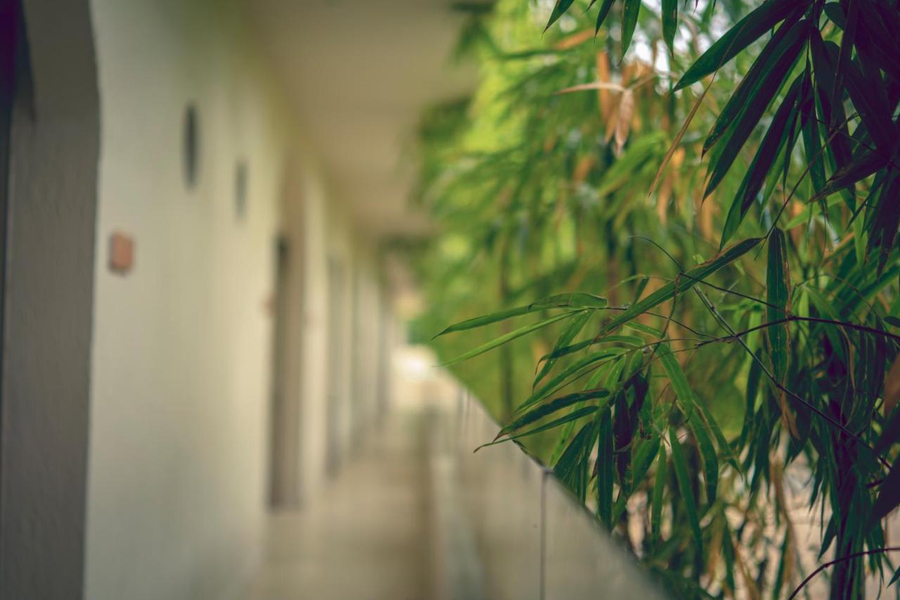 Loa Tolu By Bernalo Hotels Buitenkant foto